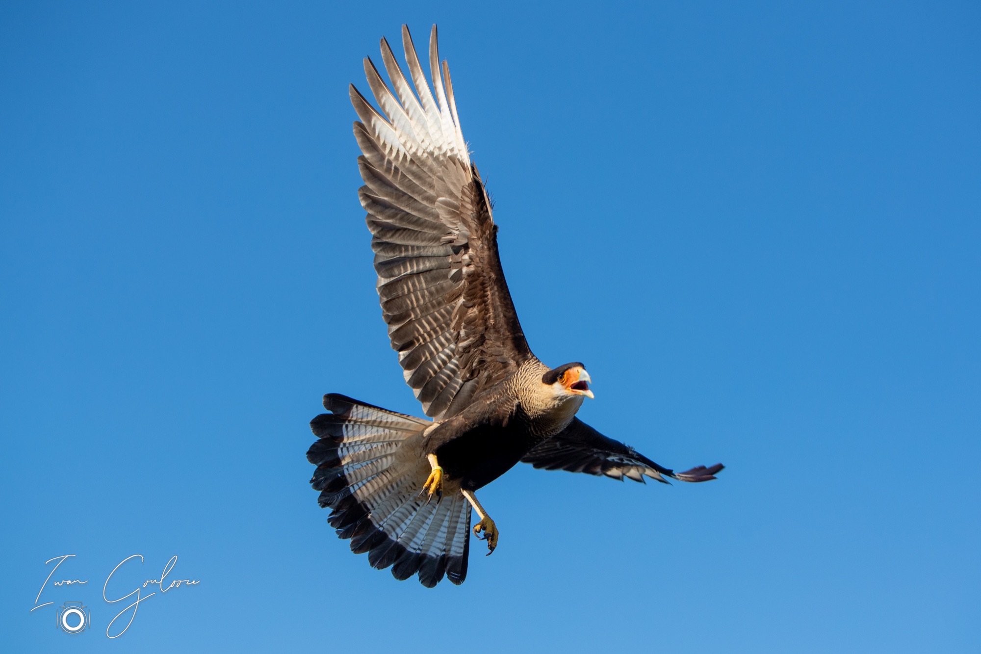 04 maart 2022 163456 1DX44463